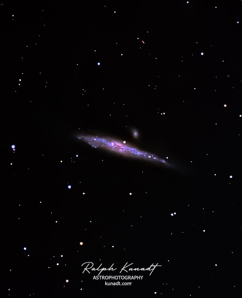 NGC4631 Whale Galaxy