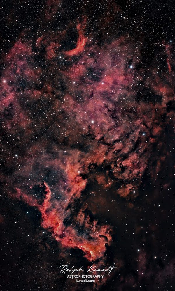 NGC7000 North America Nebula